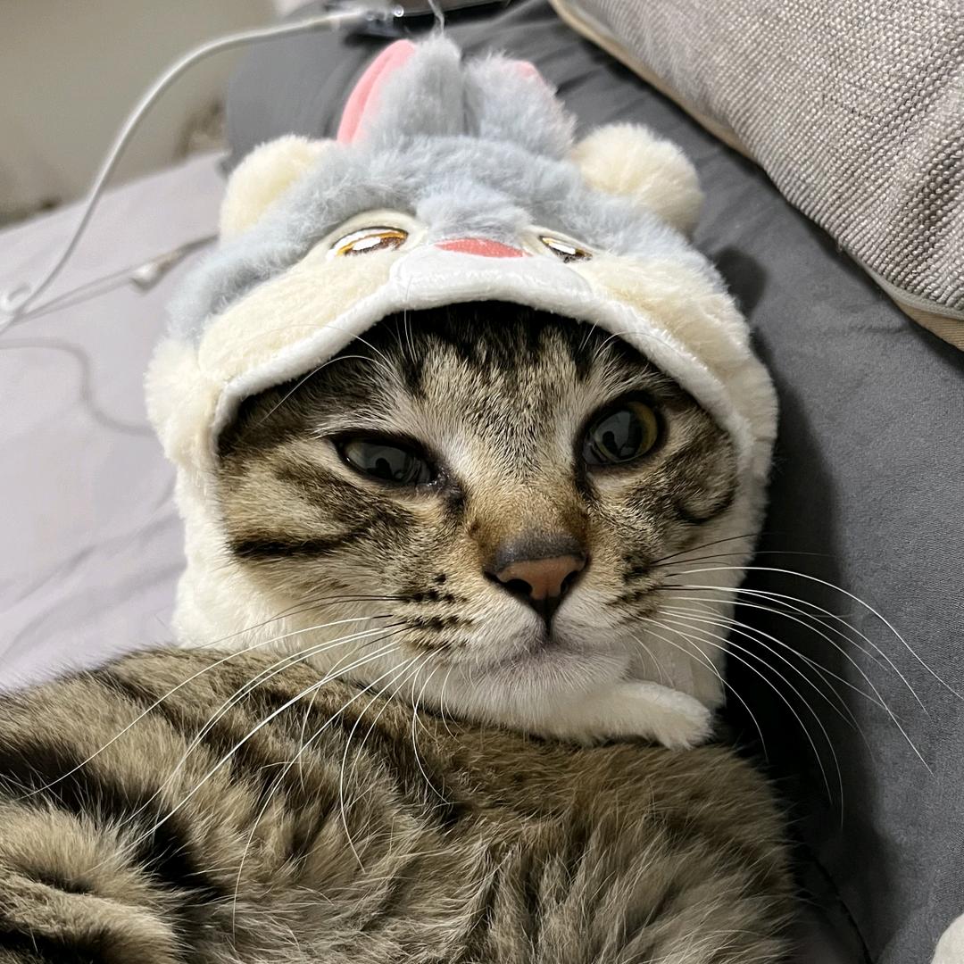 夹子大王