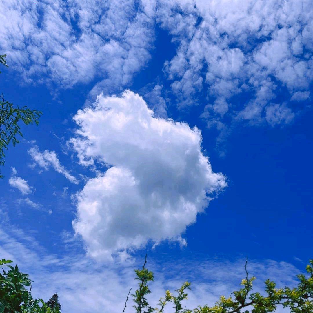 丝丝幽香