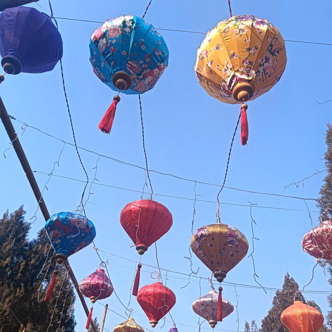 低温环境的制造者