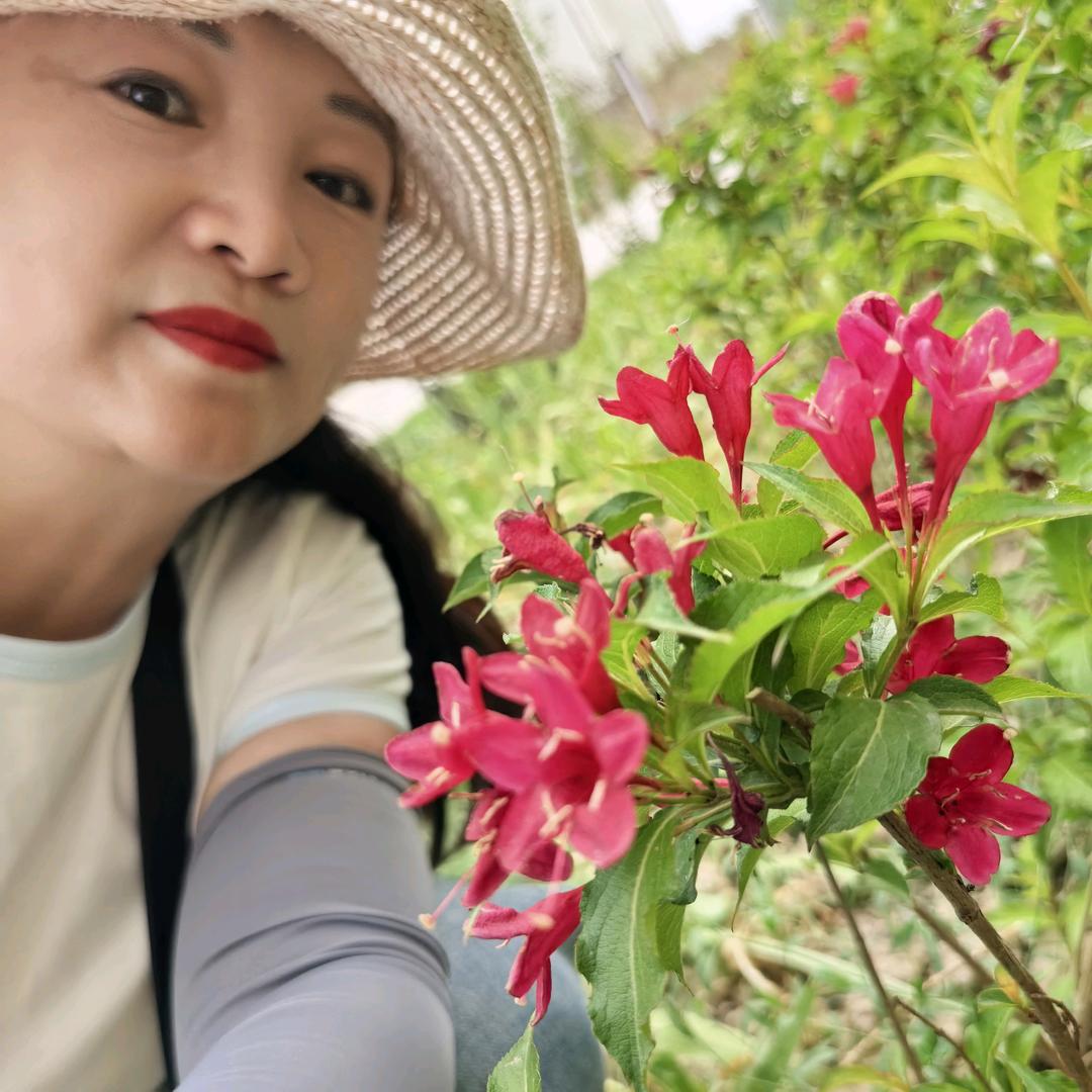花开花落