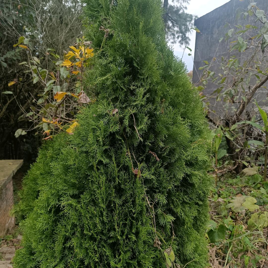 健康是福
