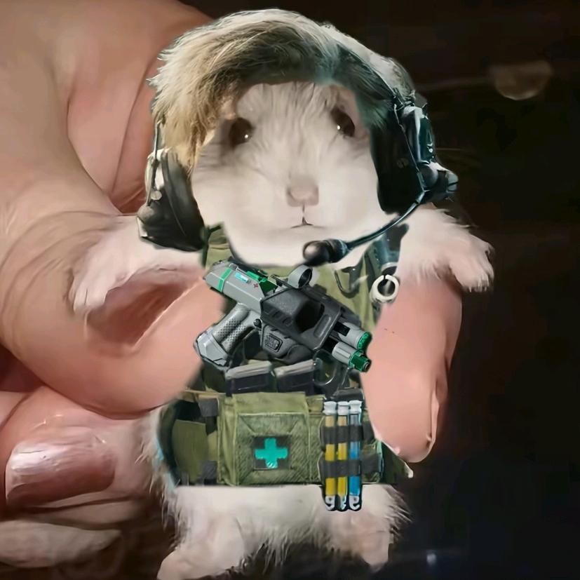 哈基米南北绿豆