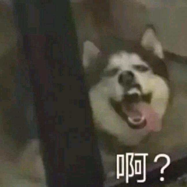 歪比巴卜歪比歪比