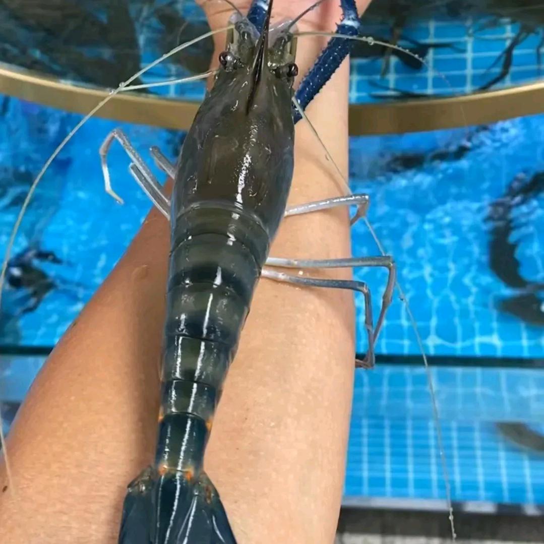 蟹老板【本地生鲜】