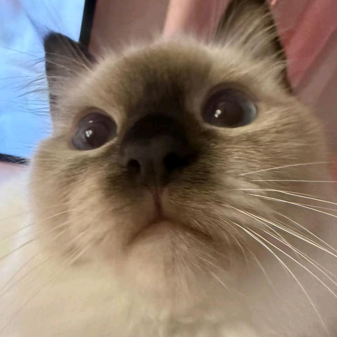 睡24h小意思