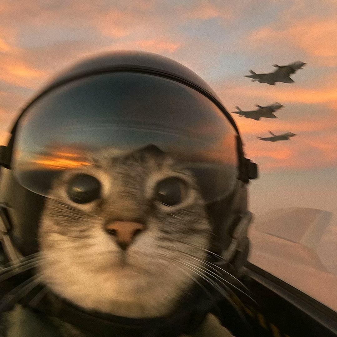 爱弹琴的龙龙老师