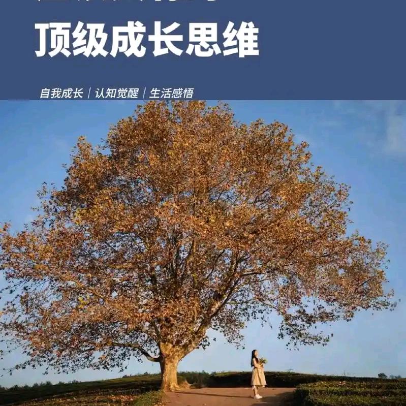 穷爸爸富爸爸