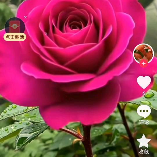 感恩重生，福杯满溢