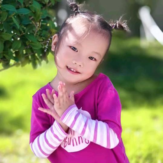 灿烂🌸（零投资）