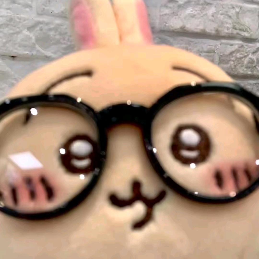 观南.