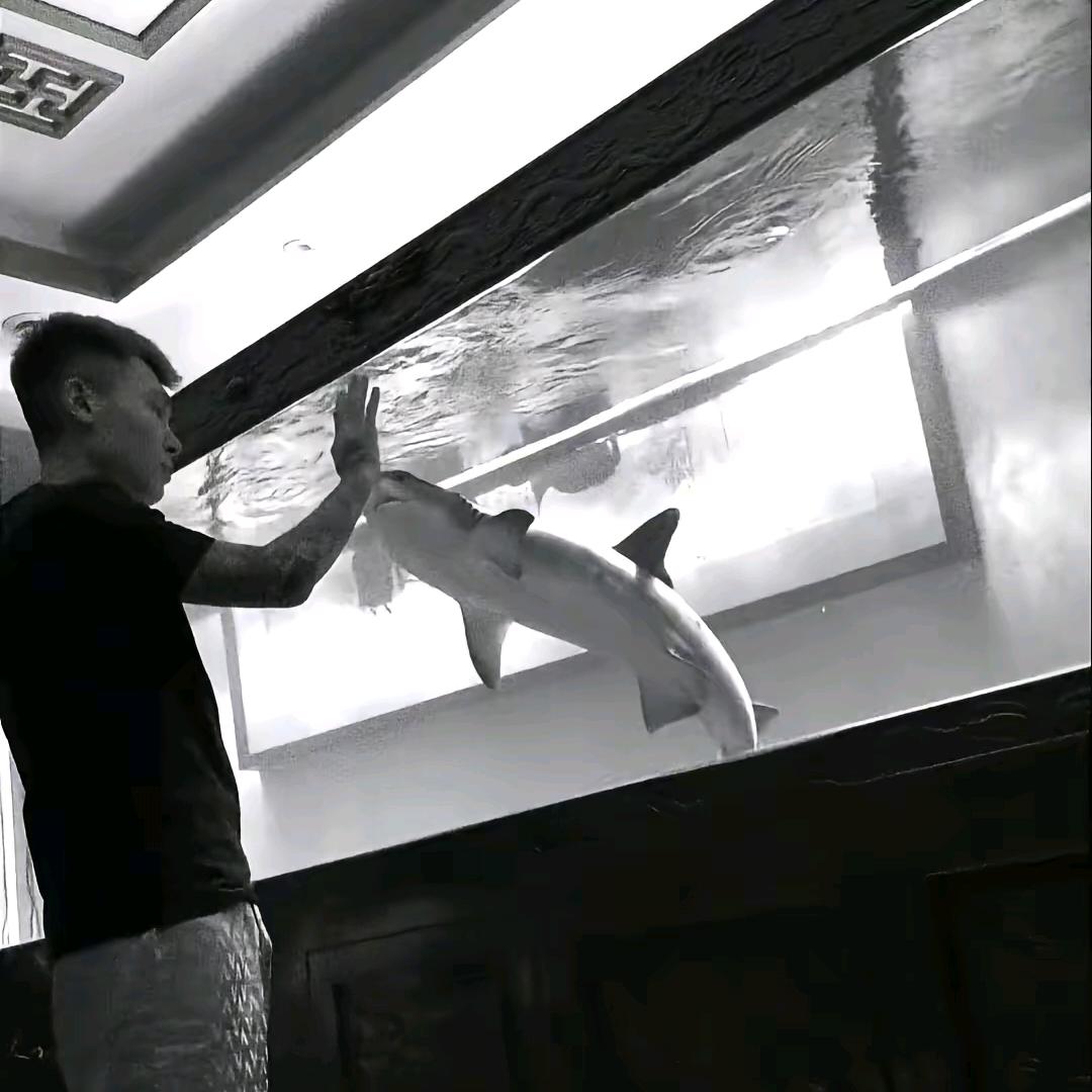 顺金石材a