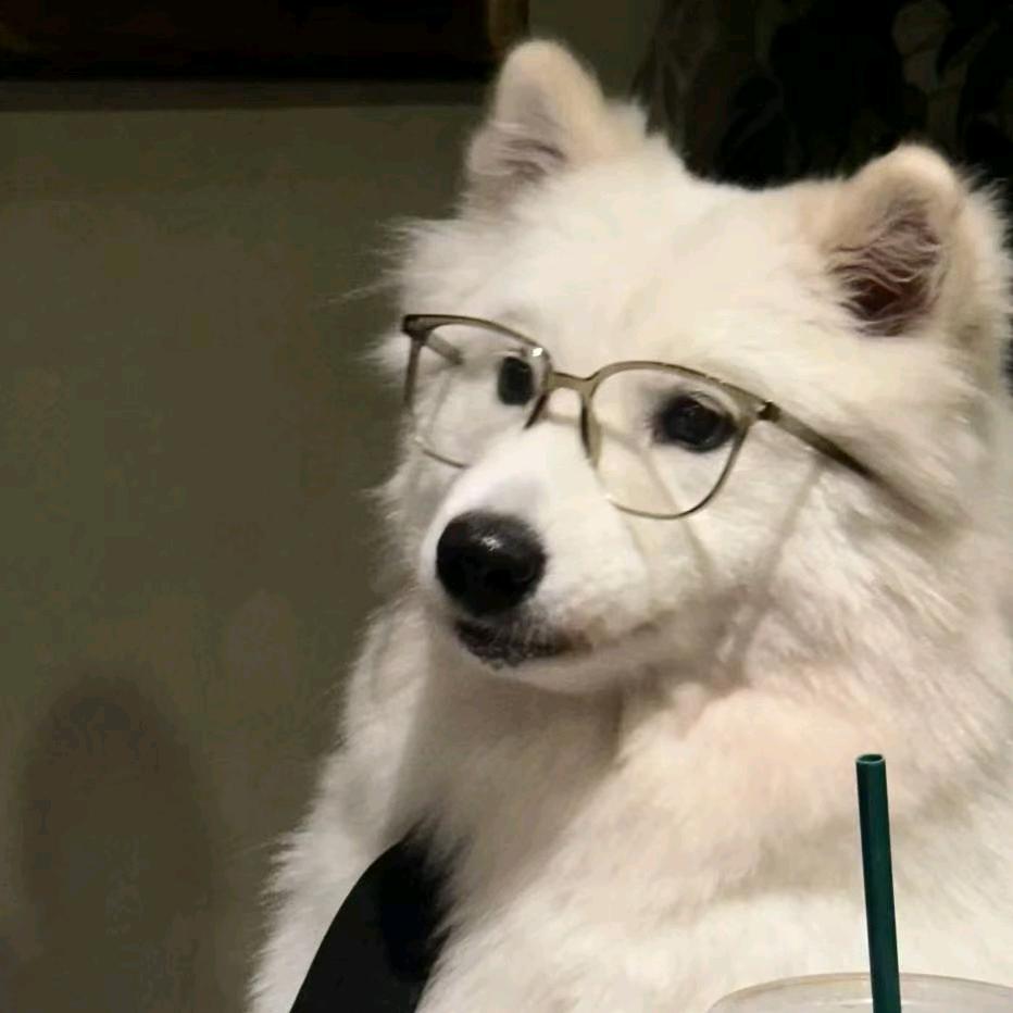哈士奇最可爱了