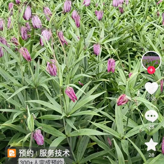 随心