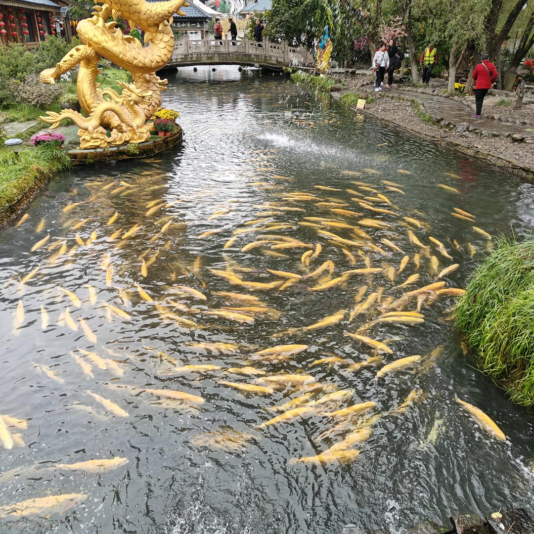 晨跑