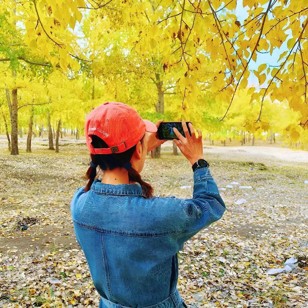 ଘ兜兜🌾有米ଓ