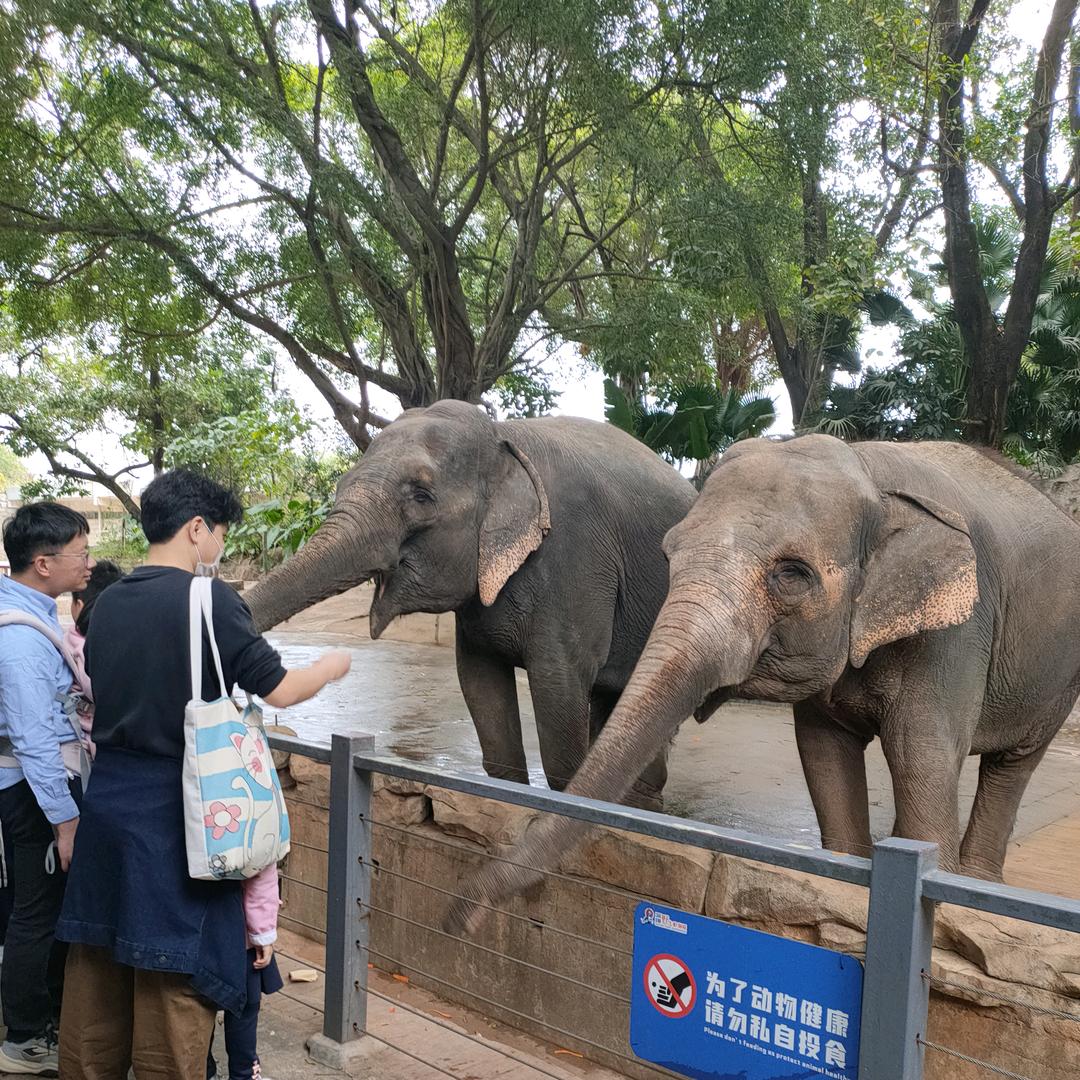 满心欢喜