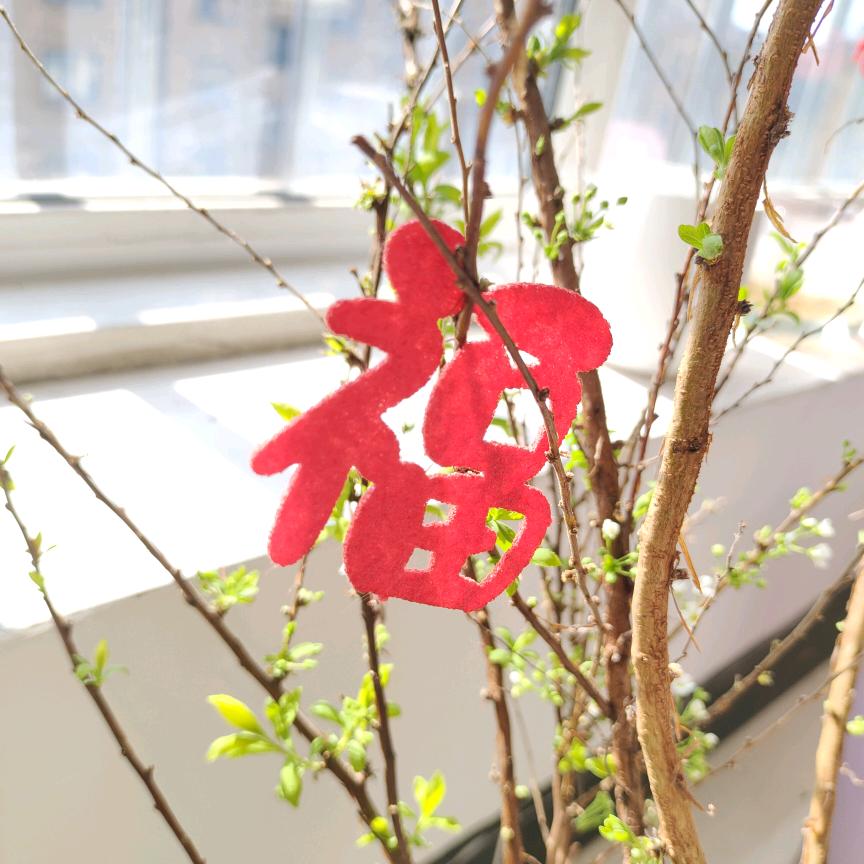 蔡~源滚滚不要圆滚滚