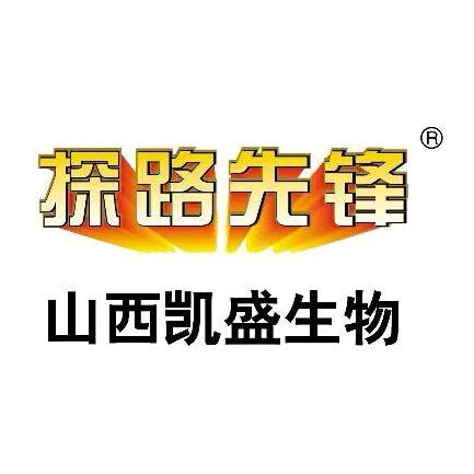 山西凯盛探路先锋