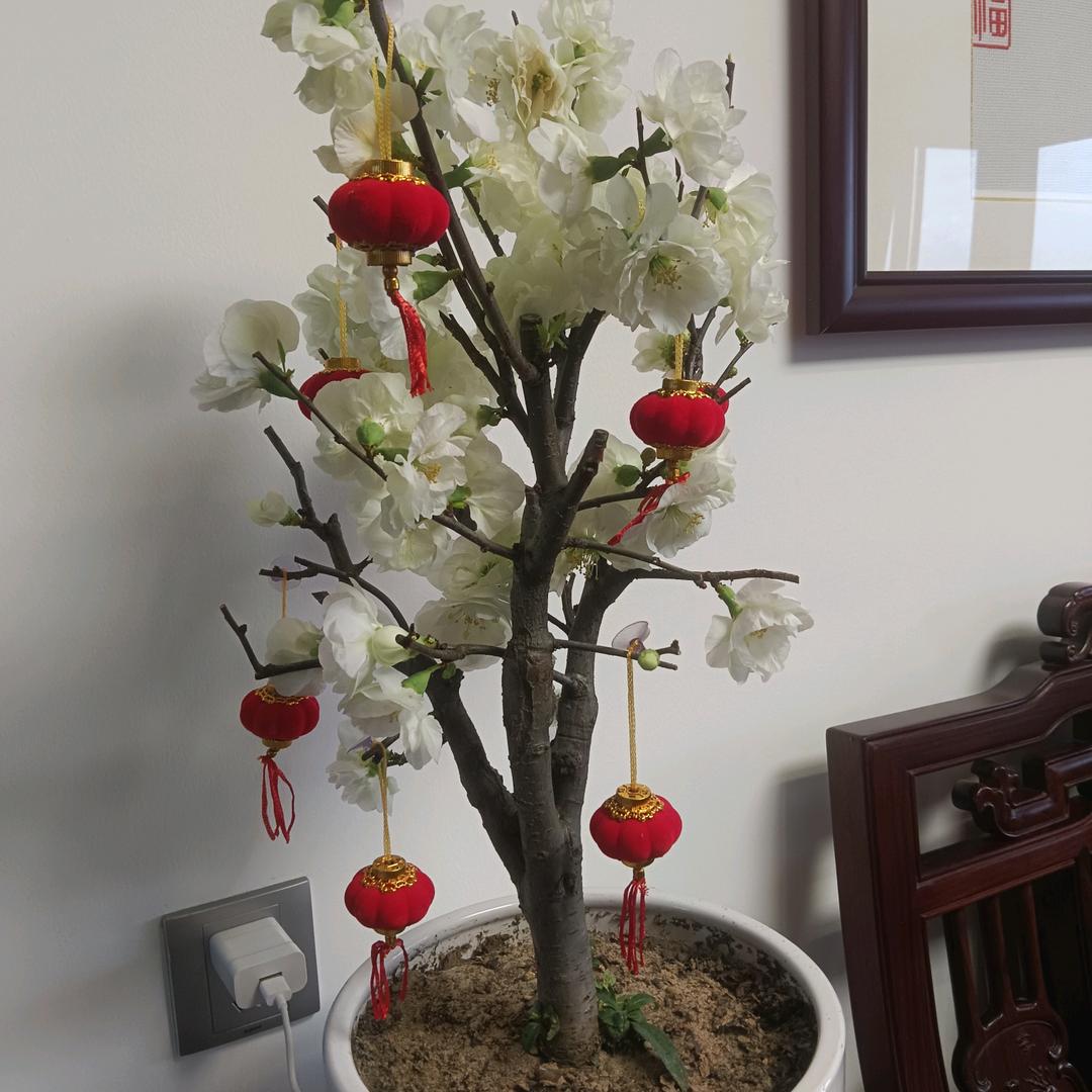 🍒黑豹🍒