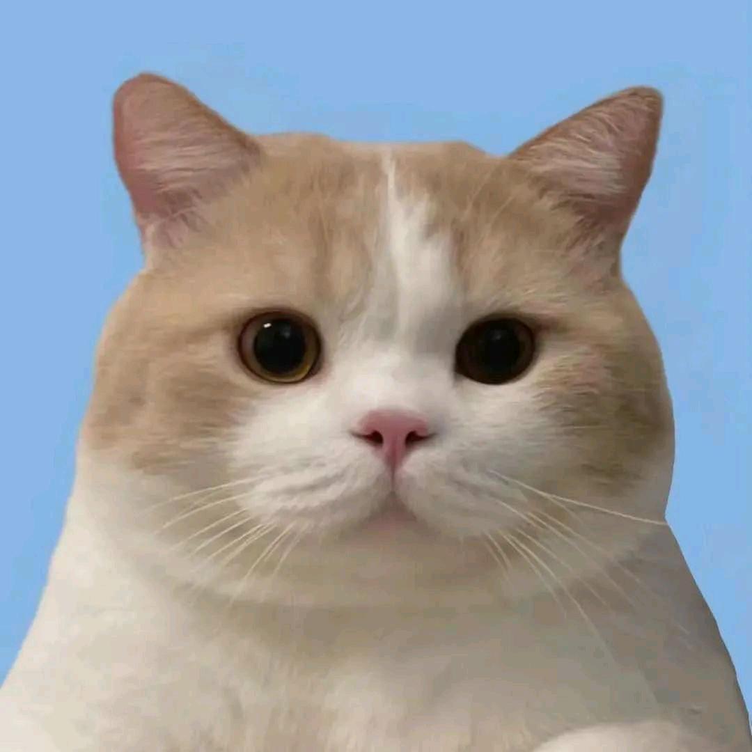 张十六