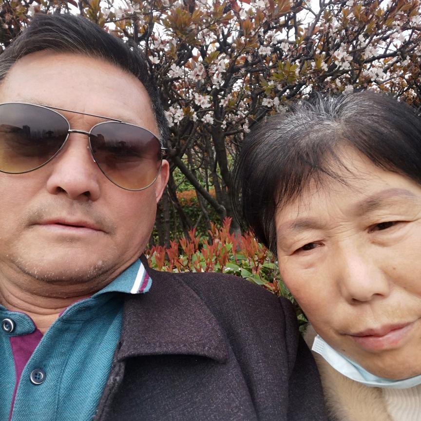 七方木材乔付成