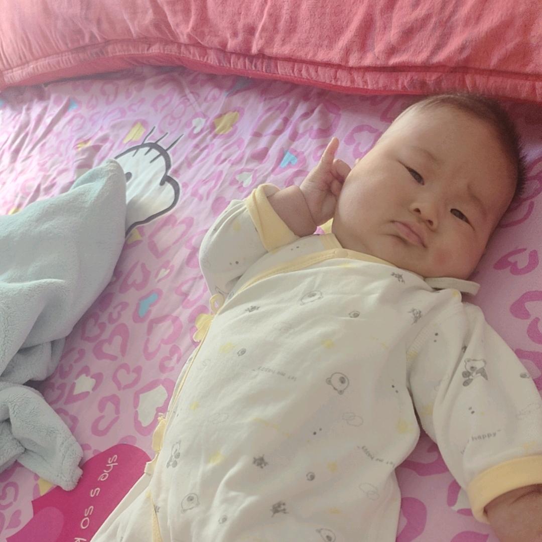 小十二的日常生活