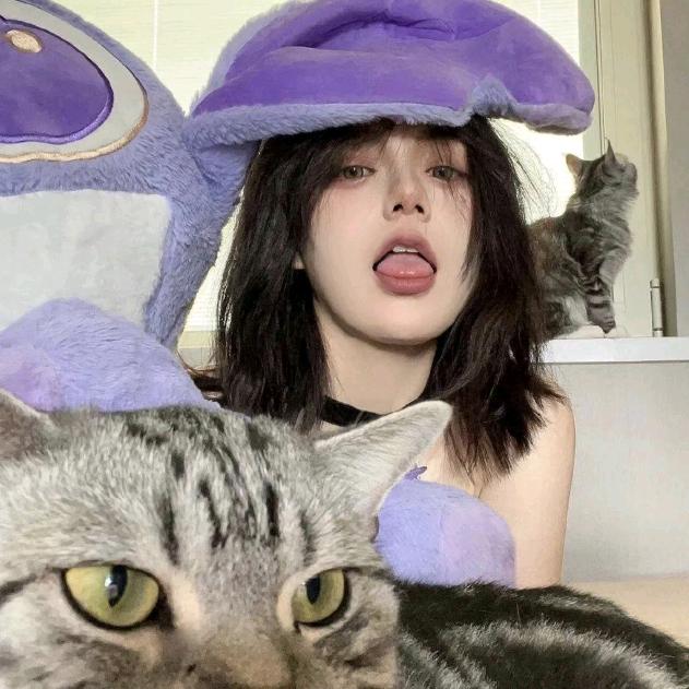 小野猫的橱窗(娇娇)