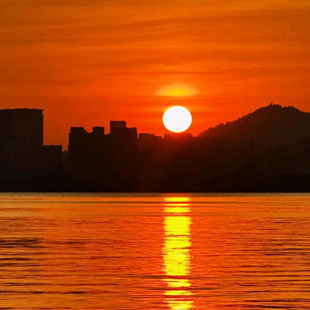 欲买桂花同载酒