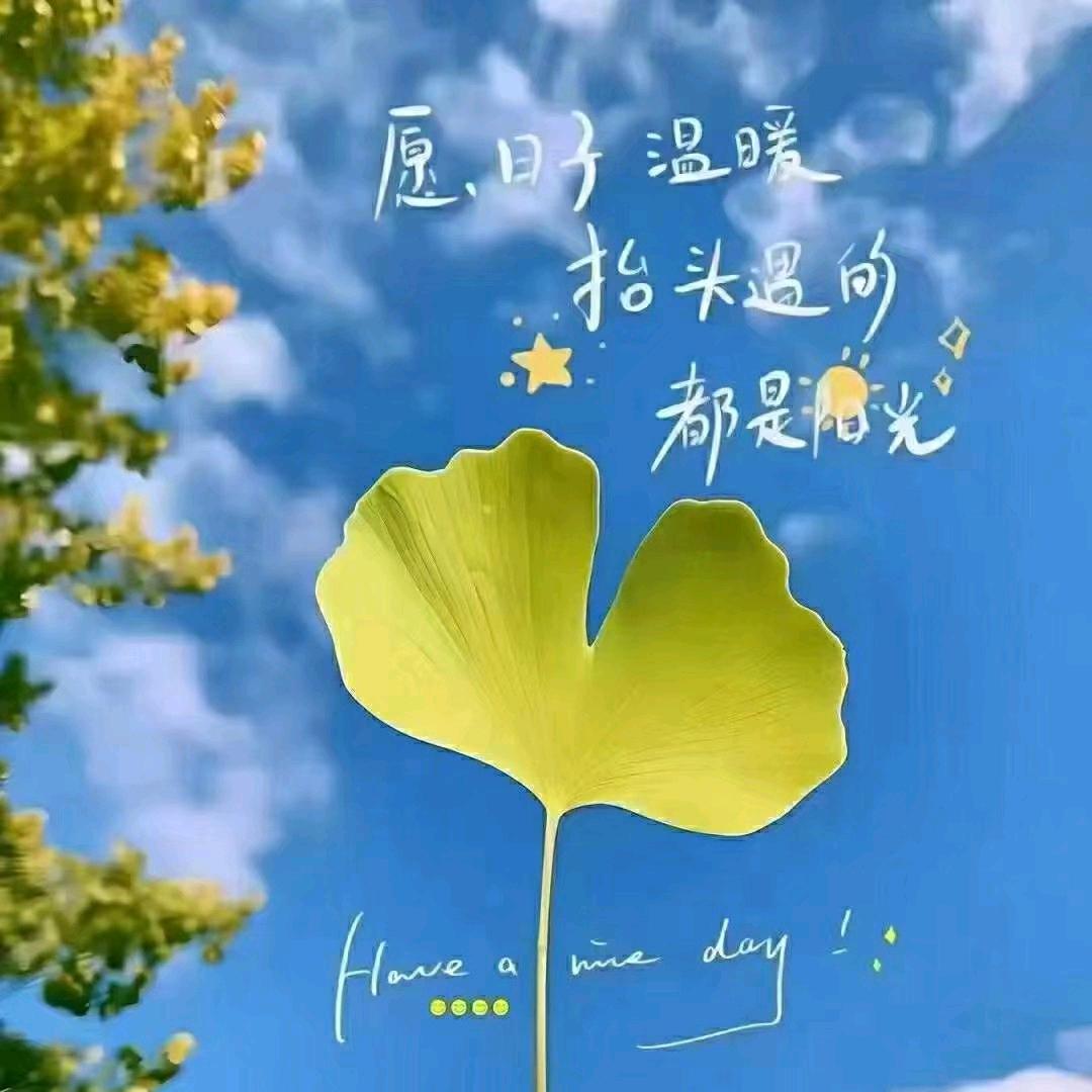 钱多多3