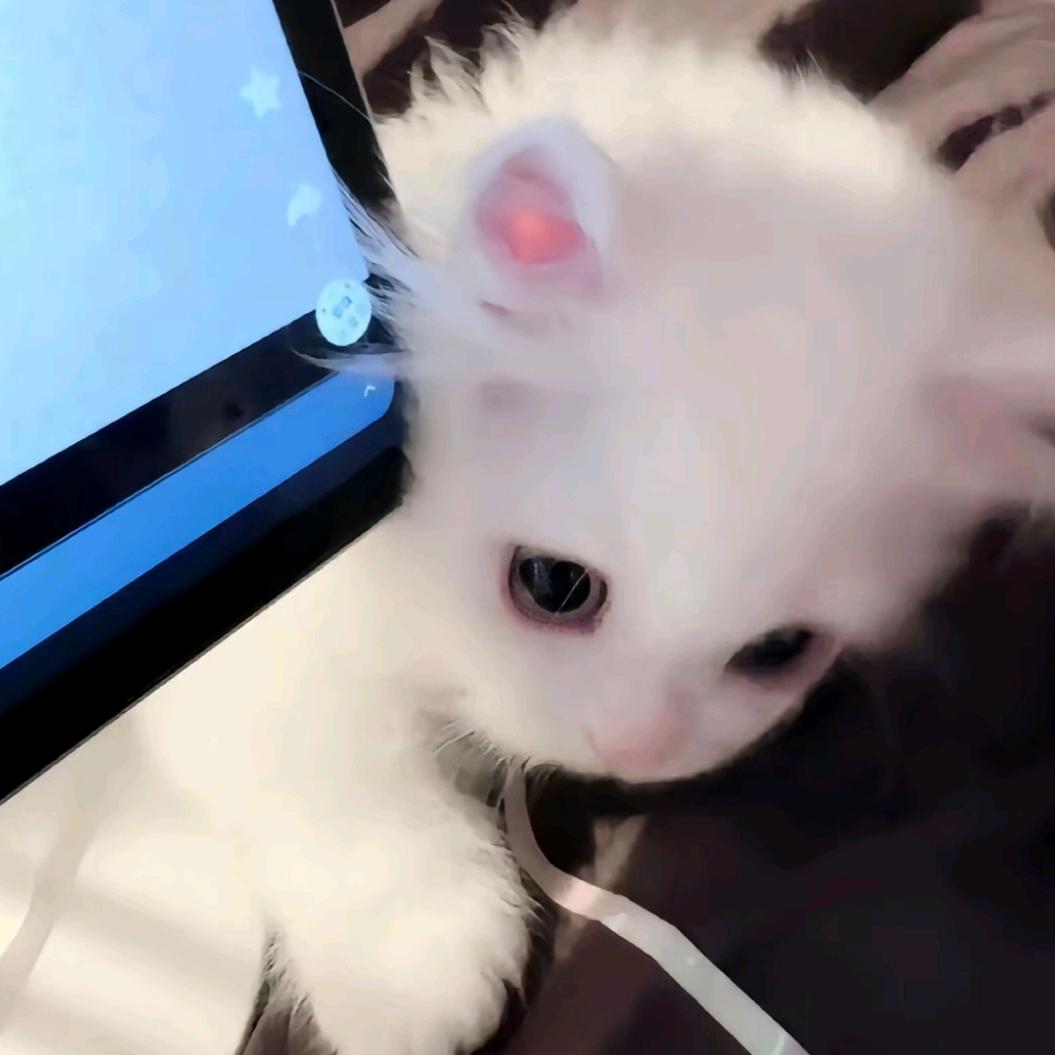 死了被迫重生之我是瓦高手