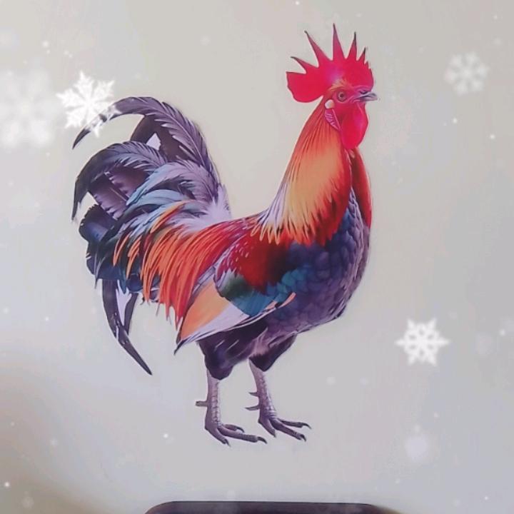山力兄