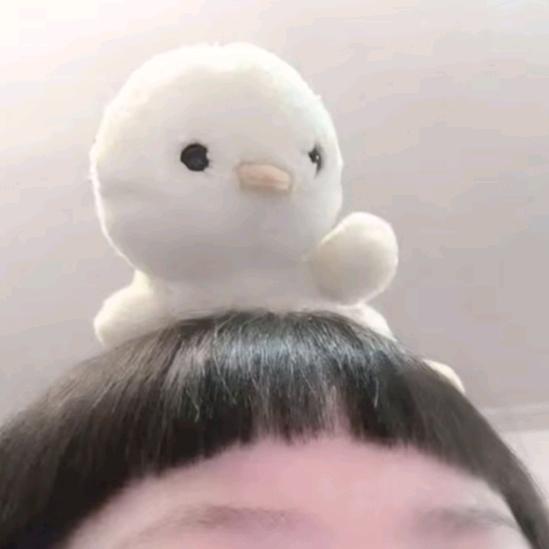 奶块 江南松
