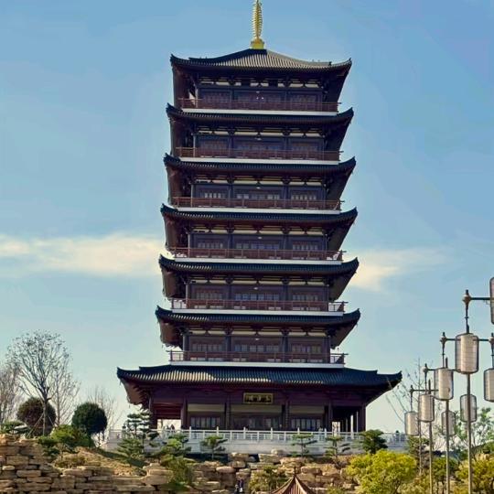 自由飞翔