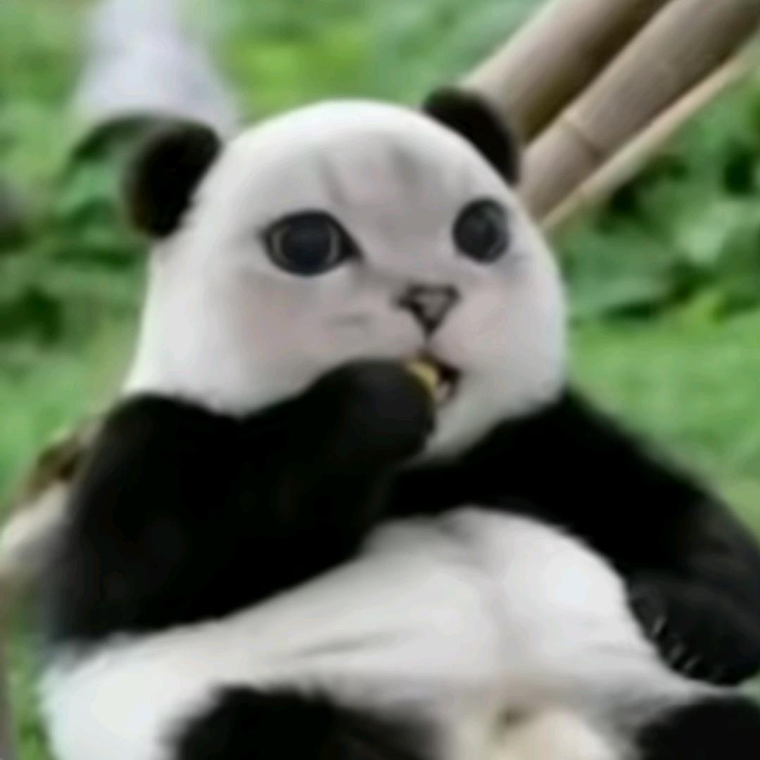 ㅤㅤ头像