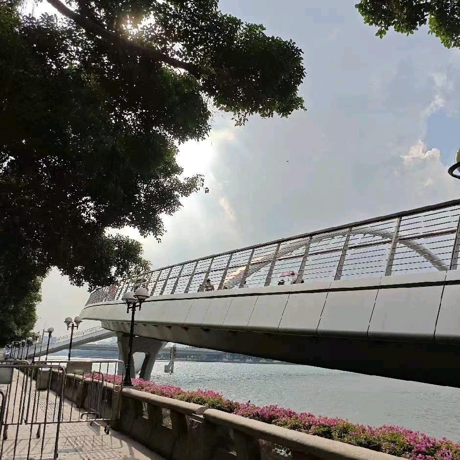 🌟✨🌟✨🌟✨