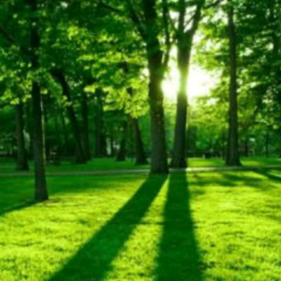 杨秀芳凌云超市(郦水花园店)