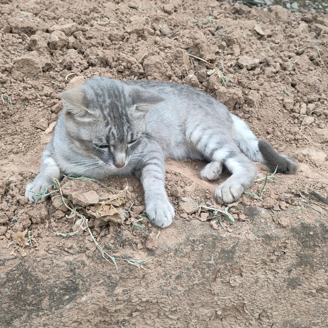 ℋღ᭄芳ღ᭄ℳ