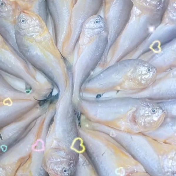 美食从这里开始