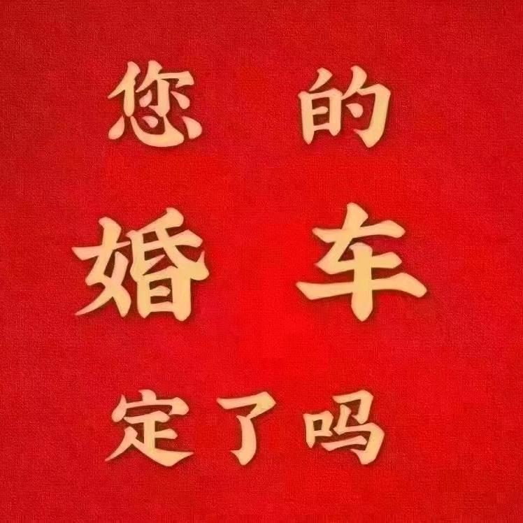《阳谷经典红旗婚车队》