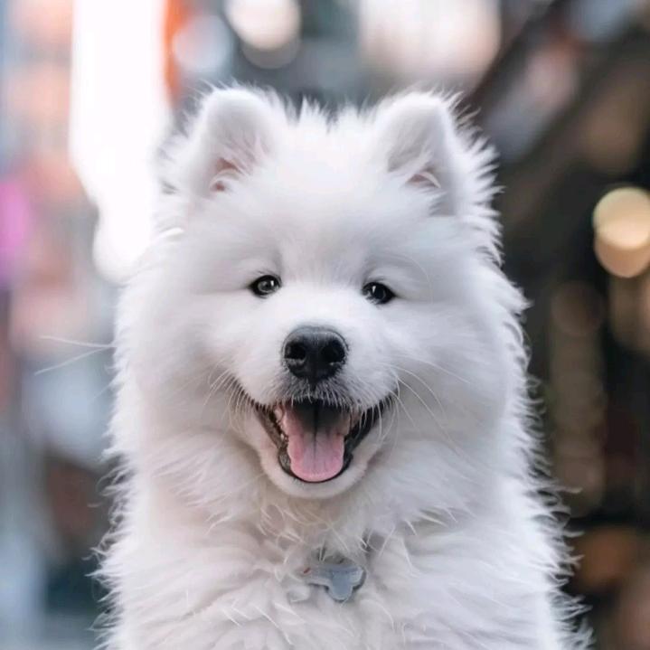 封心