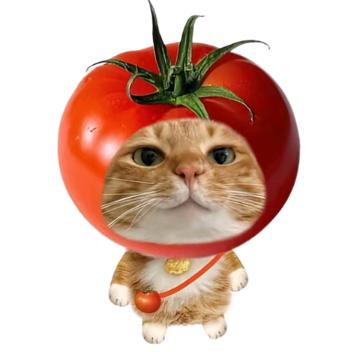 西红柿🍅