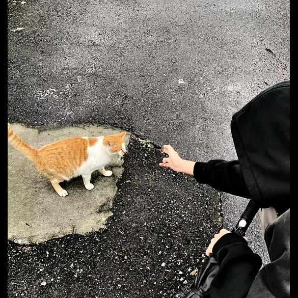 信徒