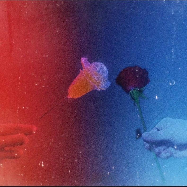 এ舍·予এ