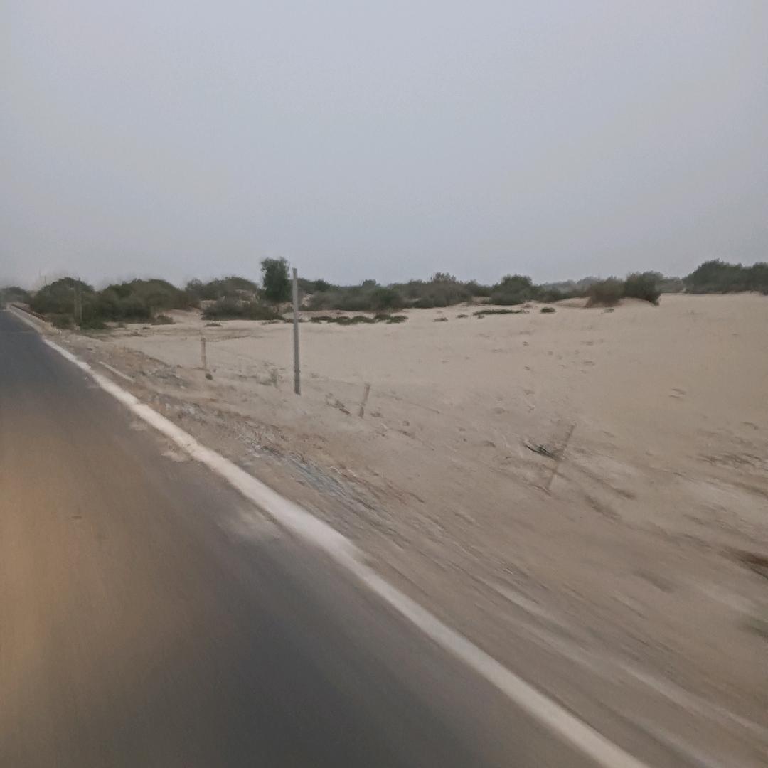 山鹰