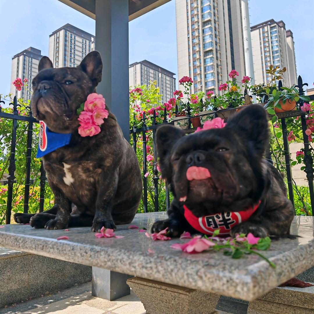 喜欢你没道理😘