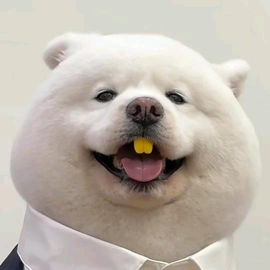 不用欢迎我路过