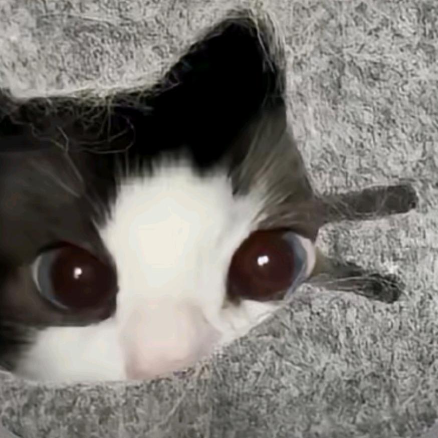 L 菲.