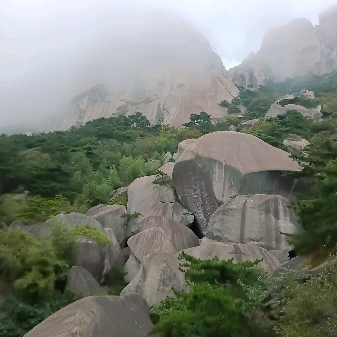 相濡以沫