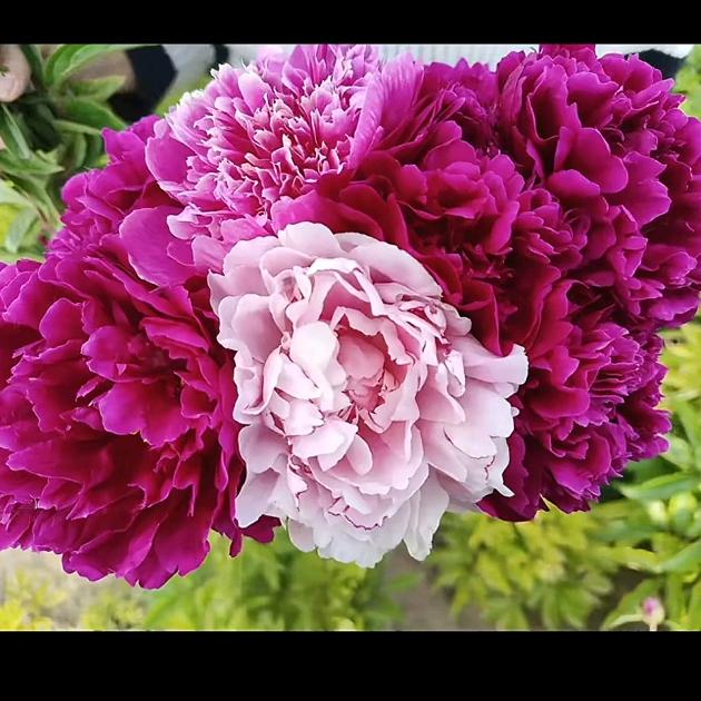 春夏秋冬好美丽呀！