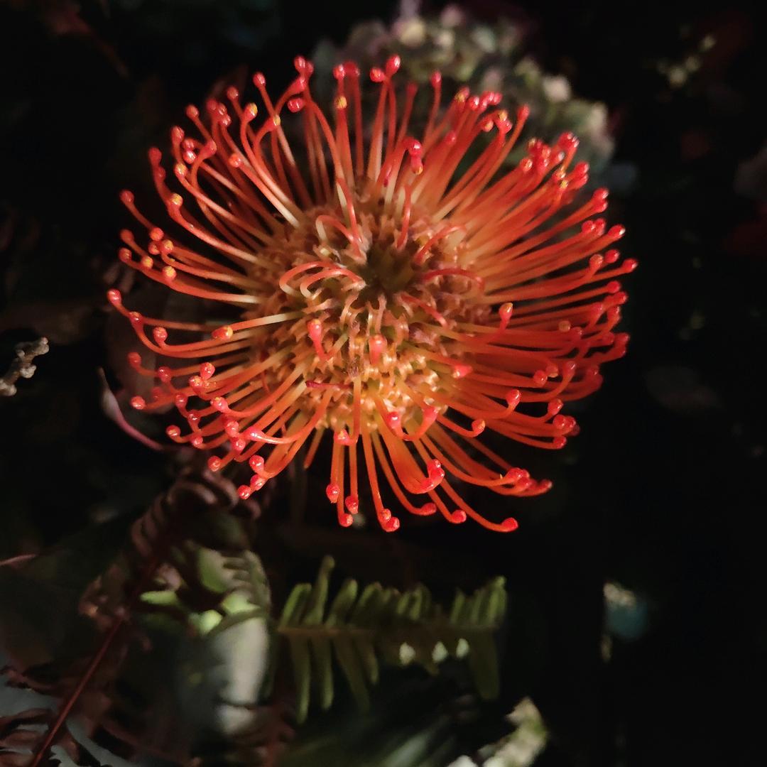 白茶清欢无别事……